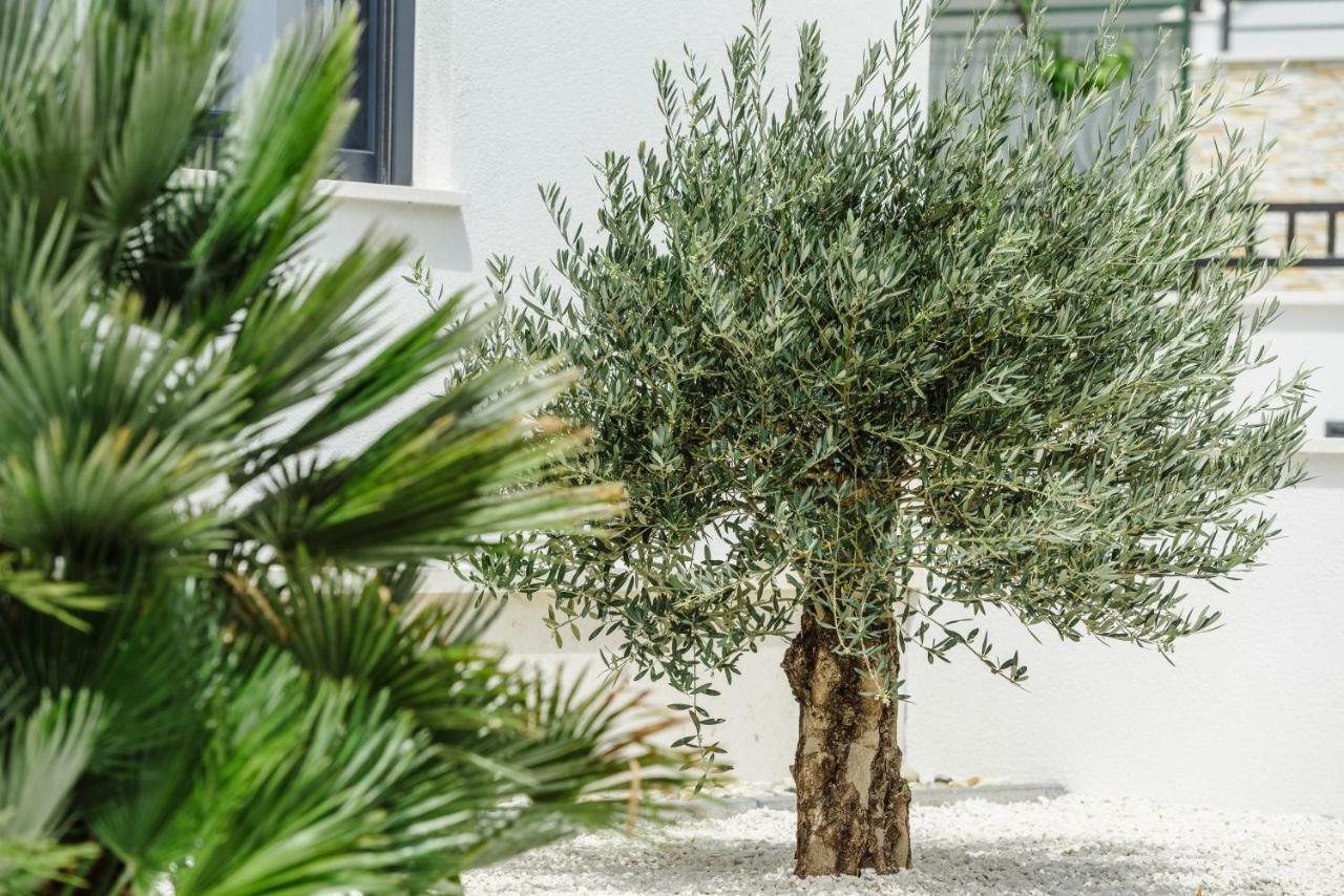 Apartments Villa Dalmatia トロギール エクステリア 写真